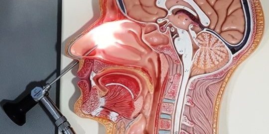 Endoskopik Sinüs Cerrahisi Endoskopik Sinüs Cerrahisi