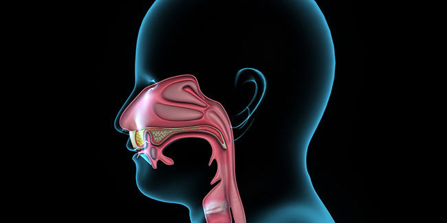 Geniz Akıntısı Geniz Akıntısı