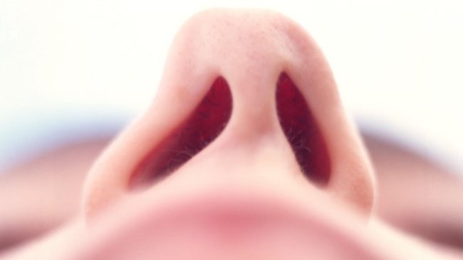 Burun Kemiği Eğriliği