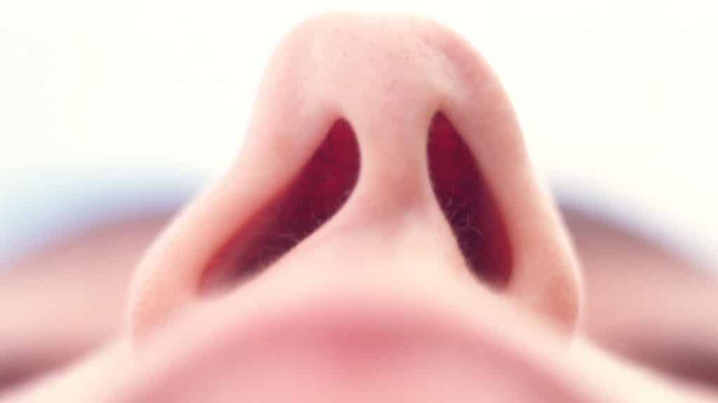 Burun Kemiği Eğriliği