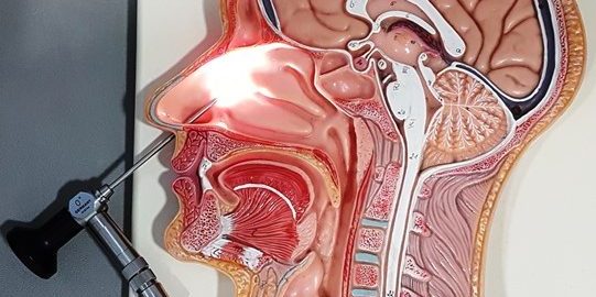 Endoskopik Sinüs Cerrahisi