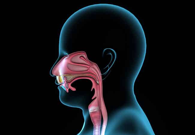 Geniz Akıntısı Geniz Akıntısı