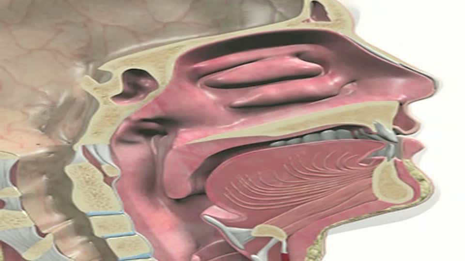 Konka Cerrahisi Konka Cerrahisi