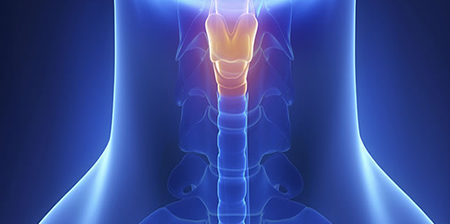 Ses hastalıkları (Larengoloji)