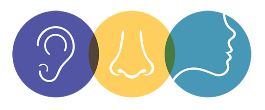 sisli-kbb-randevu Şişli – Kulak Burun Boğaz Muayenehanesi Randevu