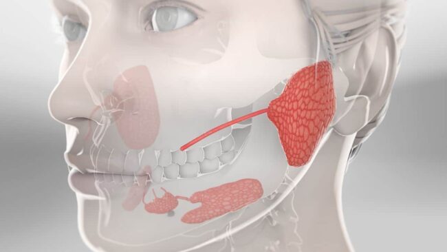 tukuruk-bezi-hastaliklari Tükürük Bezi Hastalıkları: Belirtiler ve Tedavileri