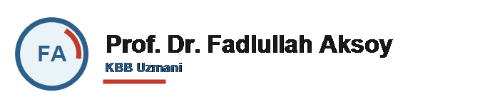 Prof. Dr. Fadlullah Aksoy